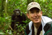 Chimpanzee Habituation Experience